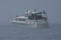 IMG_9918.CR2