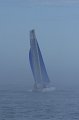 IMG_6432.CR2
