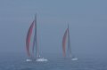 IMG_6433.CR2