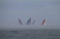 IMG_7201.CR2