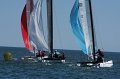 IMG_7484.CR2