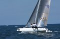 IMG_7781.CR2