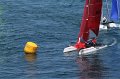 IMG_7681.CR2