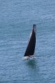 IMG_8694.CR2