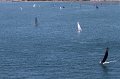 IMG_8696.CR2
