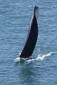 IMG_8702.CR2
