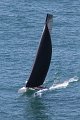 IMG_8704.CR2