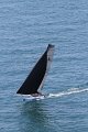 IMG_8707.CR2