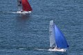IMG_8803.CR2
