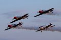 IMG_9374_800w