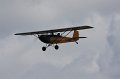 IMG_8204.CR2