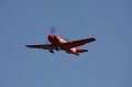 IMG_7826.CR2