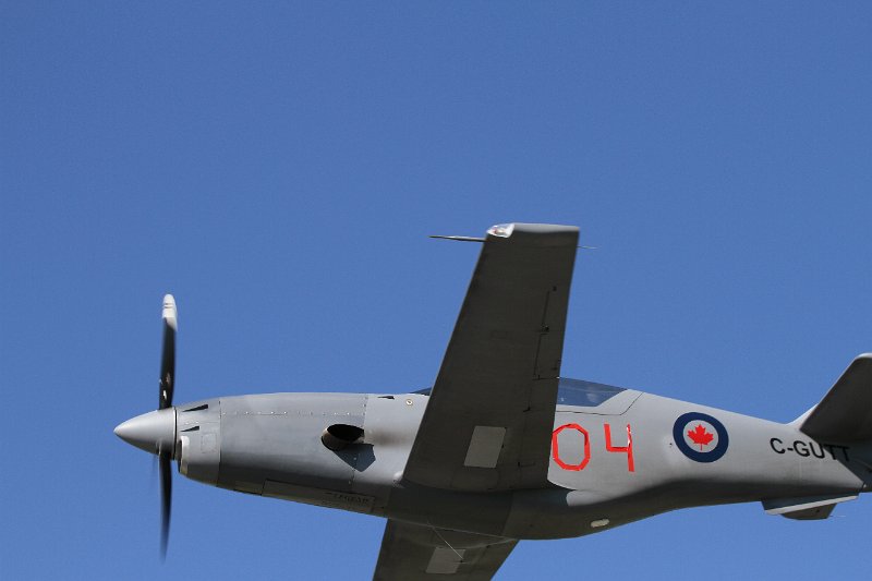 IMG_2234.CR2.jpg