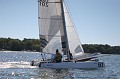 IMG_8461_20D