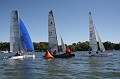 IMG_8462_20D