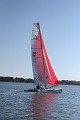 IMG_8481_20D