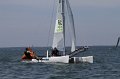 IMG_8384.CR2