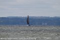 IMG_0315_proof