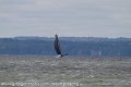 IMG_0319_proof