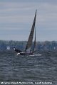 IMG_0383_proof
